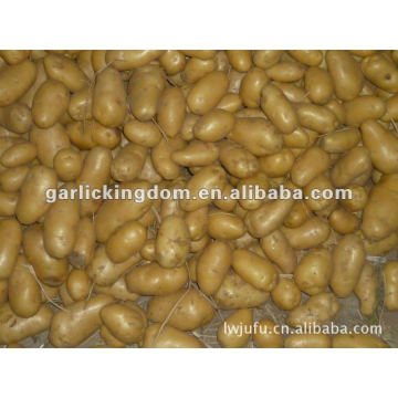 Sell 2012 new holland potato